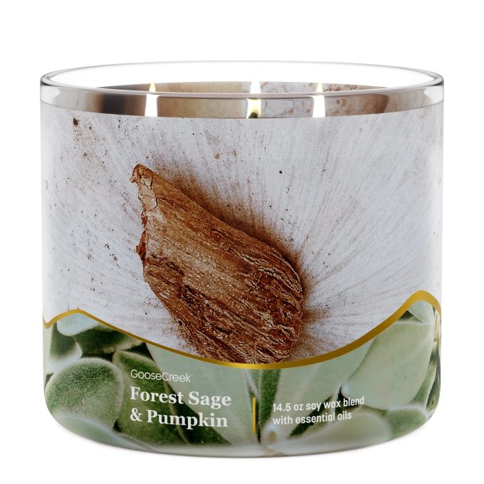 Forest Sage & Pumpkin 3-Wick Candle