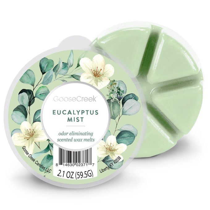 Odor Eliminating - Eucalyptus Mist Wax Melt